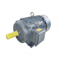 安徽ye2电机YE2-132S1-2高效电机消防泵电机