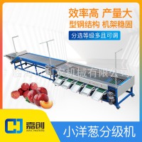 李子分级机 水果分选机 筛选机 果蔬加工设备 源头工厂 果农果园