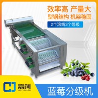 水果 蓝莓分级机 筛选 源头工厂 樱桃 果蔬 加工设备 工厂直销