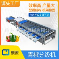 水果分级机 果蔬 蔬菜 青椒分级机 分选机 尺寸可调 源头工厂