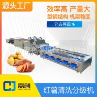 红薯清洗分级机 土豆 分选机 筛选机 果蔬加工设备 源头工厂