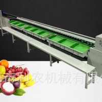 西红柿 牛油果 水果分选机 重量分级机柠檬  筛选 果蔬加工设备 一机多用
