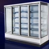 寒雪制冷 台州冷库 超市商用冰柜立式冷冻柜展示柜玻璃大容量低温冷柜火锅冷藏保鲜柜